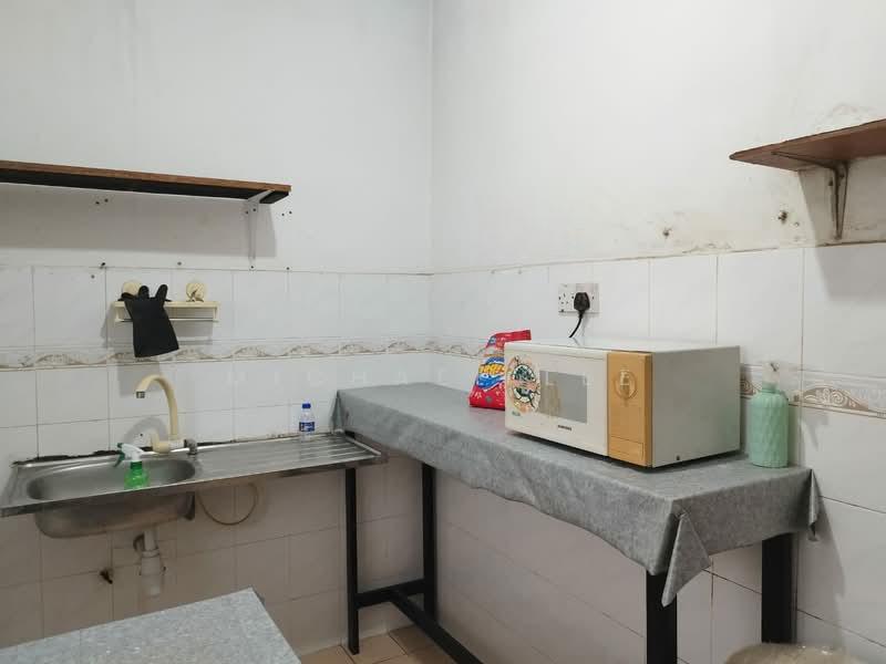 Palma Puteri - 3