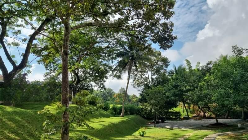Leisure Farm - 4