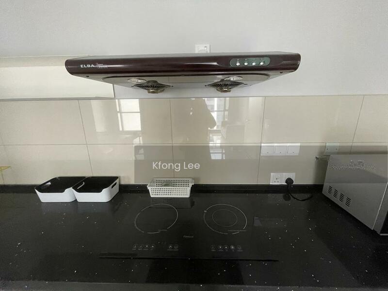 Cyperus @ Tropicana Gardens - 5