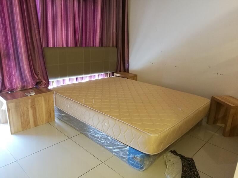 Zeva @ Equine South - 2