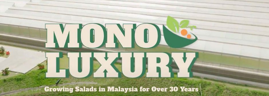 Monoluxury Sdn Bhd - Image 1