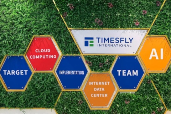 Timesfly International (Malaysia) Sdn. Bhd. - Image 1