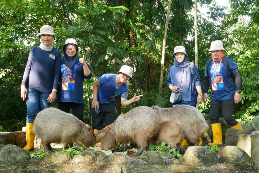 Telekom Malaysia image 2