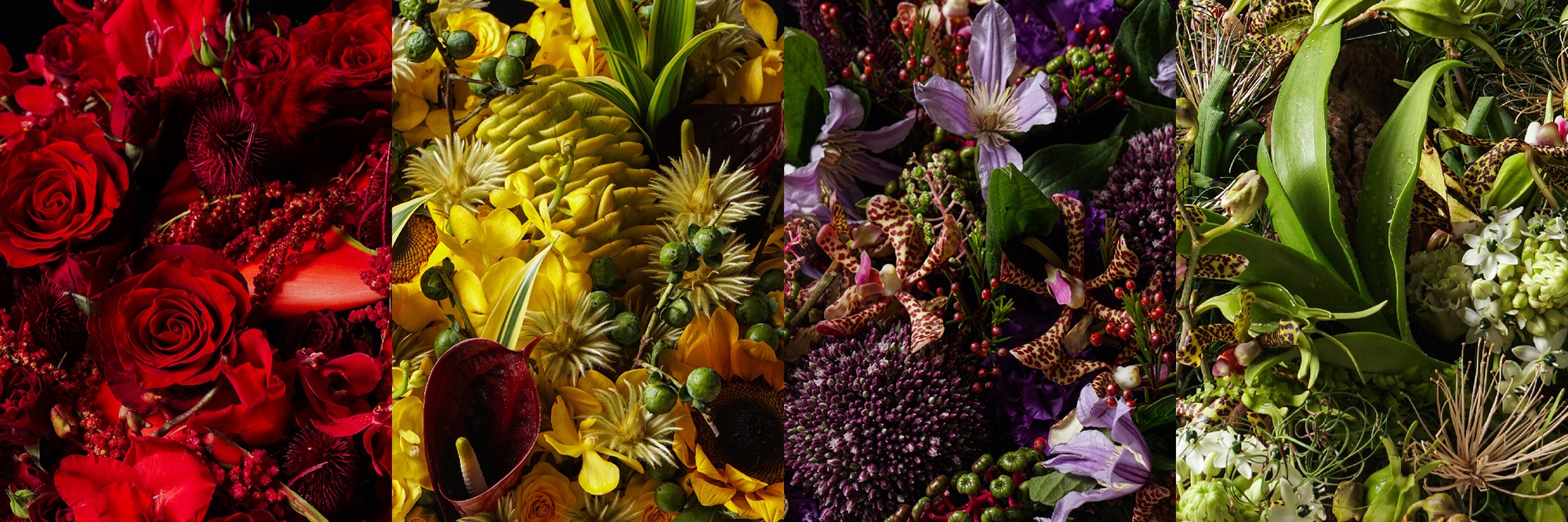 Donce Fine Floristry image 1