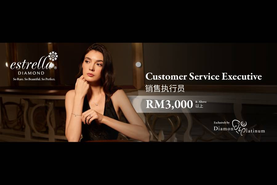 Diamond & Platinum Sdn Bhd image 1