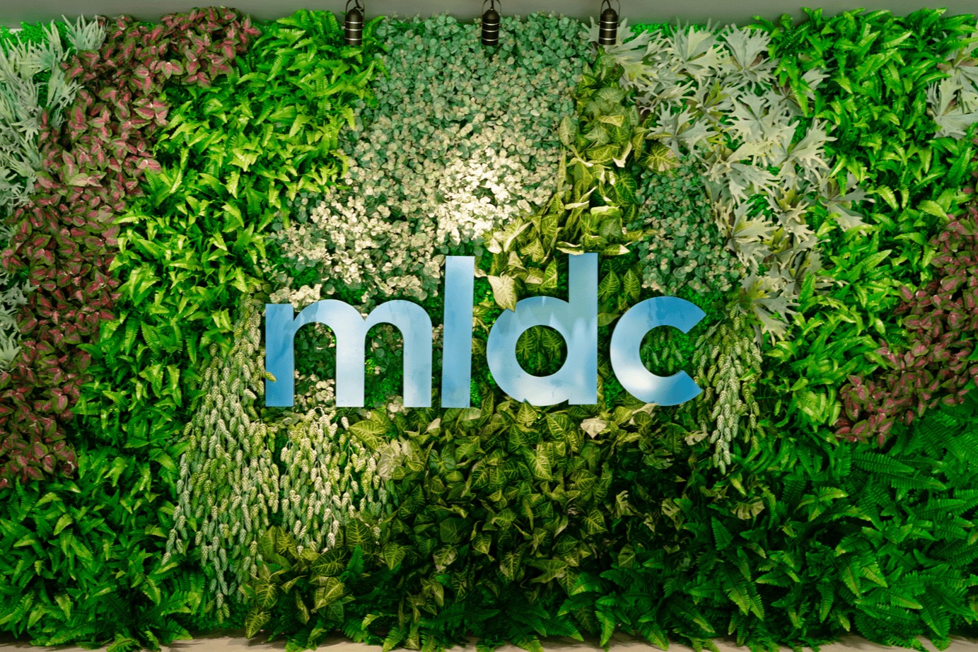 MLDC Berhad image 1