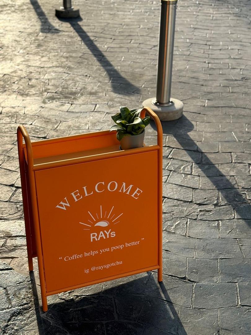 RAYs image 2