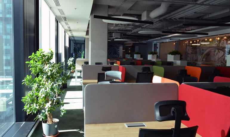 Conectys Inc. image 3