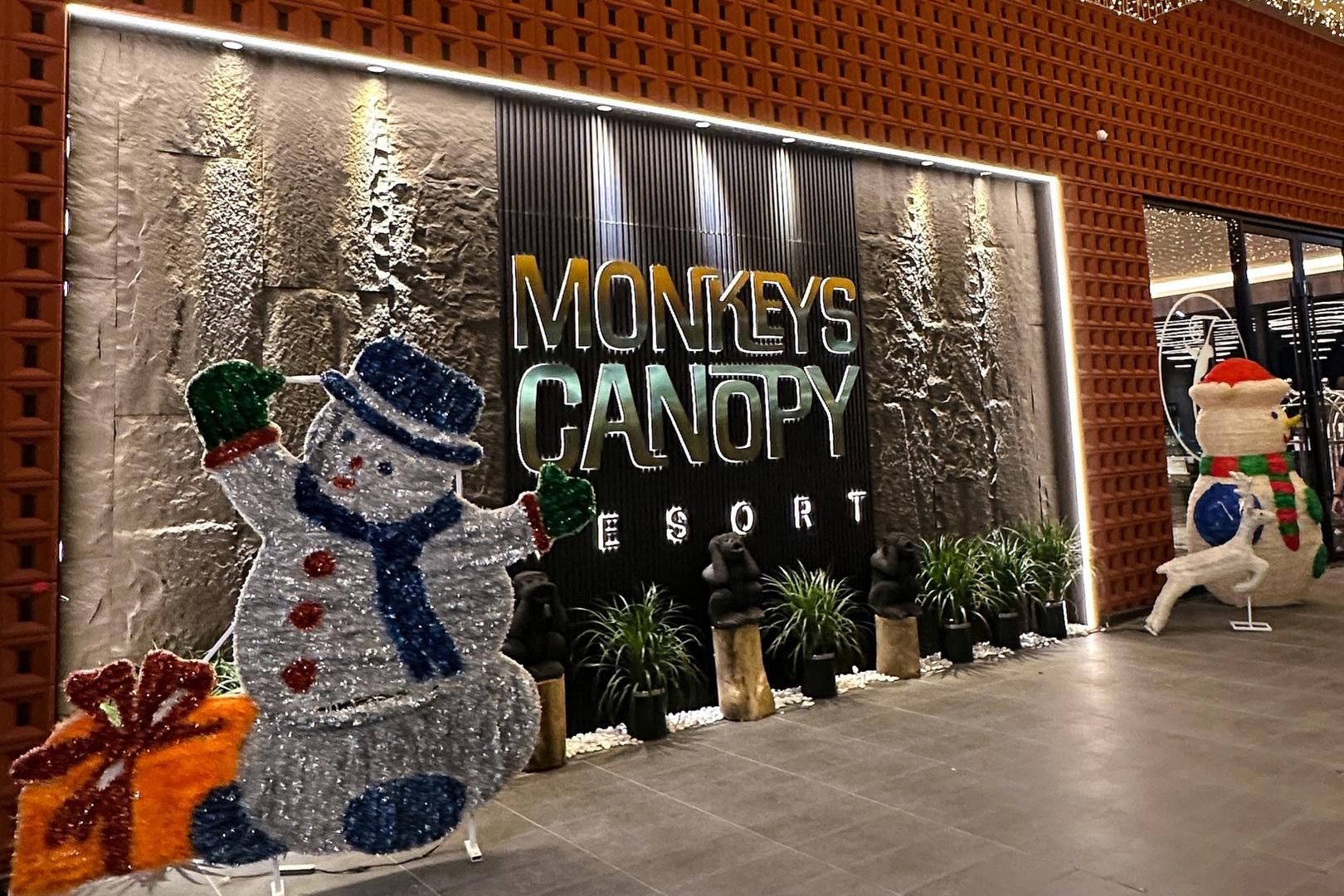 Monkeys Canopy - Image 1
