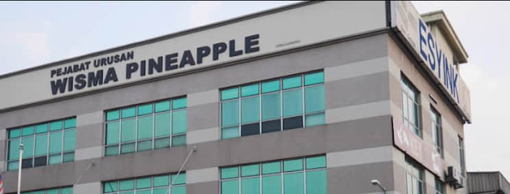 Pineapple Computer Systems Sdn Bhd - Image 1