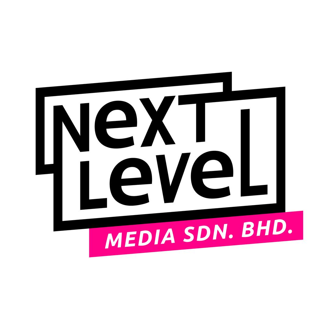 Next Level Media logo
