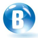 Blue Solutions Sdn Bhd