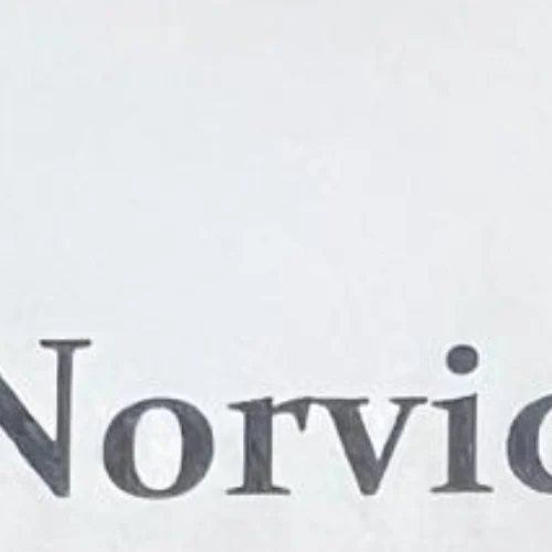 Norvic Tax Services Sdn. Bhd. logo