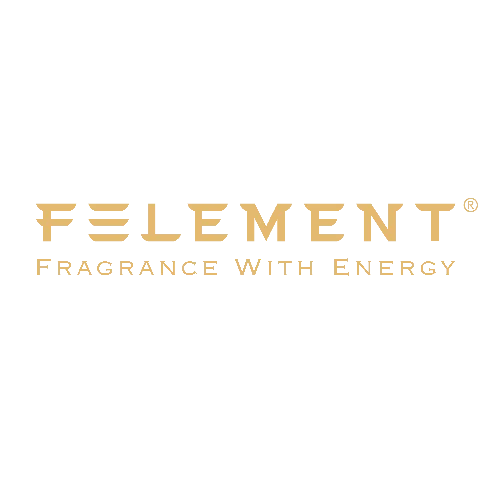 Felement Sdn Bhd